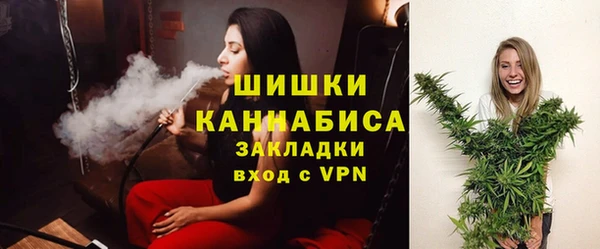 шишки Дмитриев