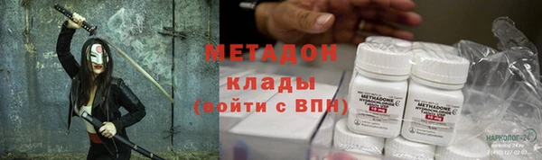 шишки Дмитриев