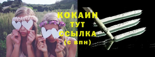 шишки Дмитриев