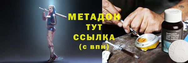 шишки Дмитриев