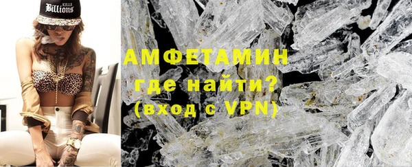 шишки Дмитриев