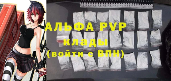 шишки Дмитриев