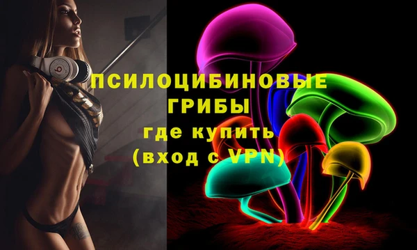 шишки Дмитриев