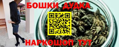 spice Гатчина