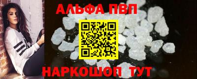 spice Гатчина