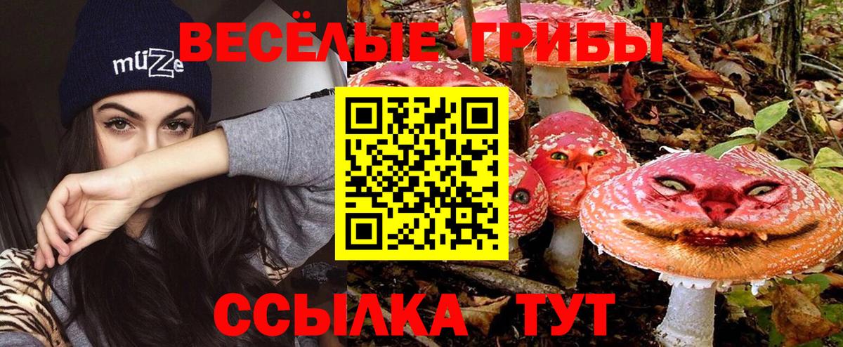Псилоцибиновые грибы прущие грибы Казань
