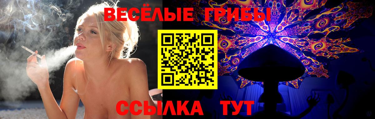 Галлюциногенные грибы Magic Shrooms Казань