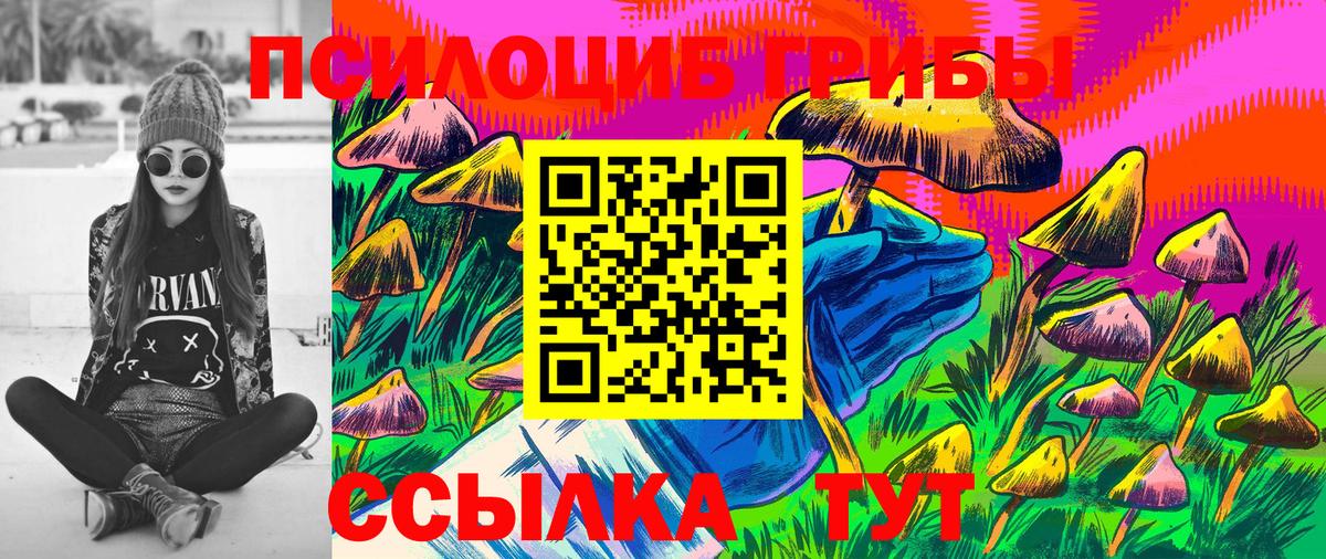Псилоцибиновые грибы Psilocybe  где можно купить   Казань 