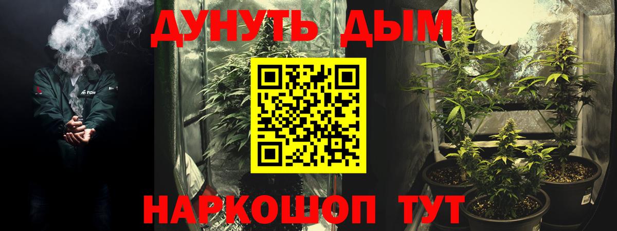 Марихуана сатива  Конопля индика  Казань  Конопля гибрид 